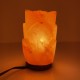 Flower Lamp Flower Lamp