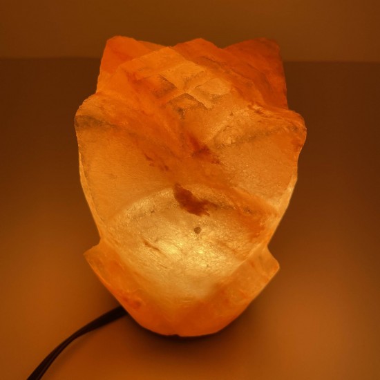 Flower Lamp Flower Lamp