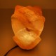 Flower Lamp Flower Lamp